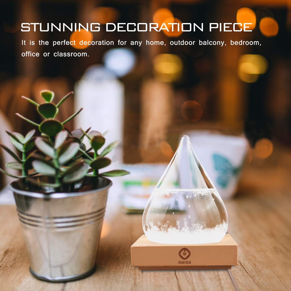 Storm Glass Weather Forecast Bottle,Snow Globe Barometer Bottle, Water Drop Weather Forecast Bottle, Home and Office Decorative Glass Bottles, Unique Gifts for Her (M)