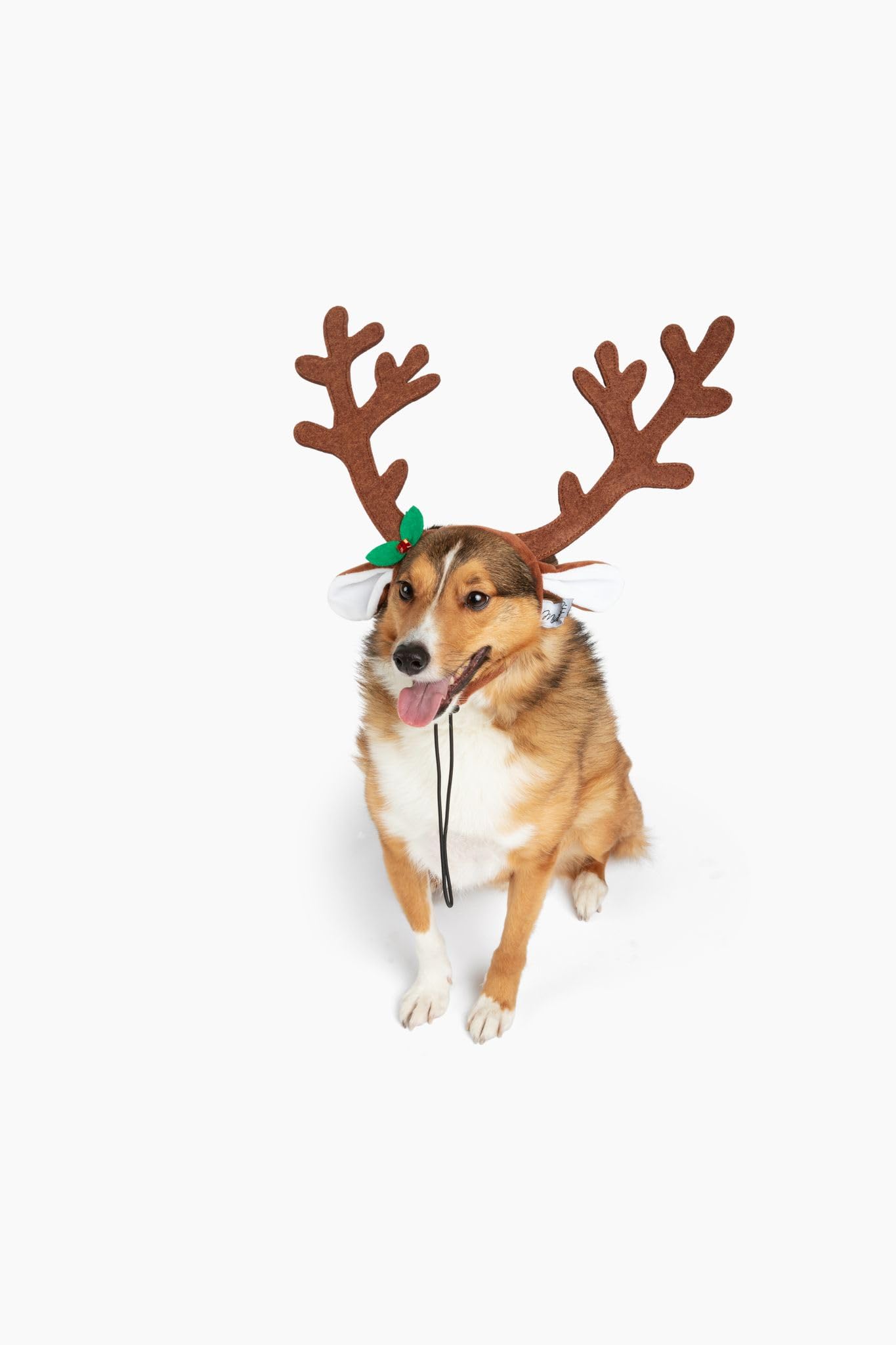Midlee Brown Reindeer Dog Antlers Headband Pet Christmas Costume - Large