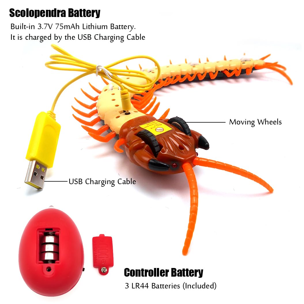 Tipmant Simulation RC Centipede Scolopendra Realistic Remote Control Vehicle Car Animal Insect Large Size Electric Prank Toy Kids Christmas Birthday Gifts (Navy Green)