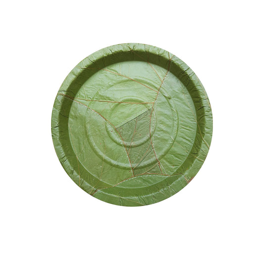 Palash-Sal leaf Single use Plate | Natural, biodegradable, backyard compostable, USDA Certified | Parties, Festival, wedding, BBQ Disposable supply | 9" Round Plate | Pack of 50