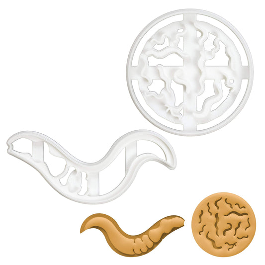 Set of 2 C. Elegans (Caenorhabditis Elegans) cookie cutters, 2 pieces - Bakerlogy