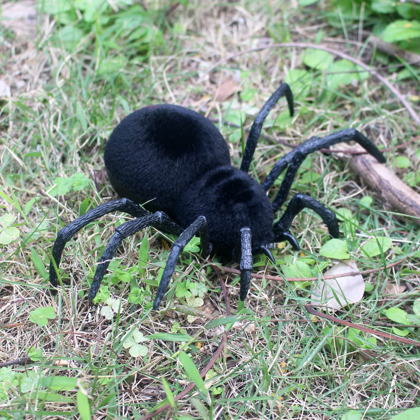 Tipmant RC Spider Remote Control Tarantula Realistic Animal Crawlers Scary Kids Halloween Christmas Prank Gag Toys Birthday Gifts (Black Hair)